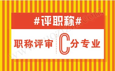 中級職稱代評