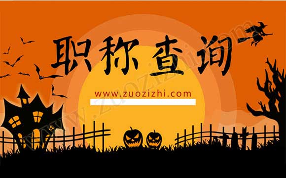 中級職稱網上查詢