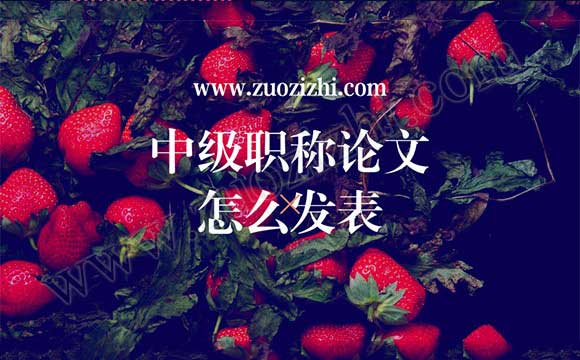 中級職稱論文怎么發表