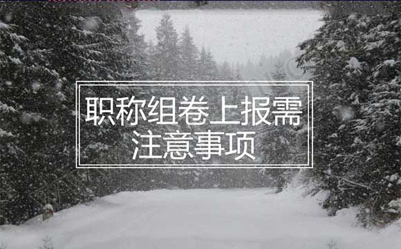 職稱評審材料裝訂