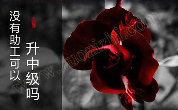 助理工程師有什么用