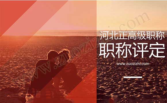 河北省正高級工程師評審