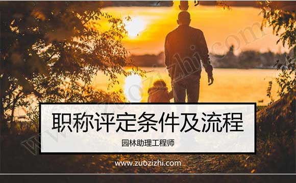 職稱評(píng)定條件及流程