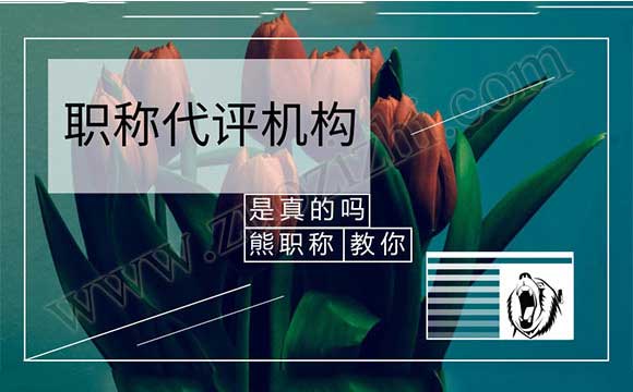 代評(píng)中級(jí)職稱