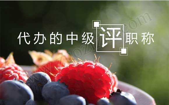 代辦的中級職稱合適嗎
