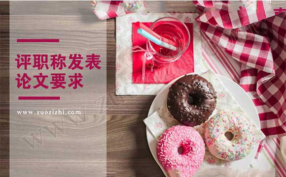 中級工程師論文要求