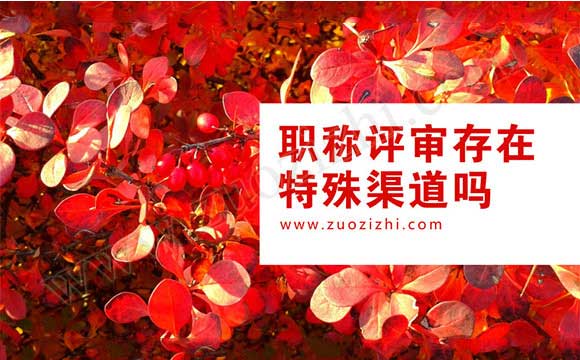 中介辦理職稱評定