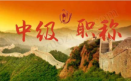 中級(jí)工程師的評(píng)審結(jié)果在哪里查