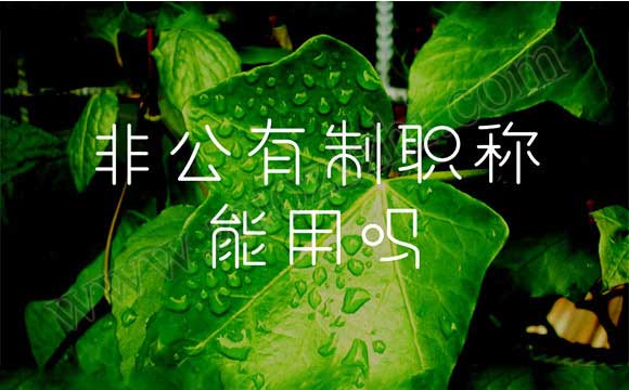 非公有制職稱能外單位使用嗎 非公有制職稱能用嗎