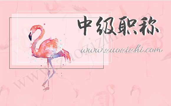 中級職稱外單位使用價格