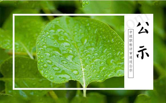 職稱評審?fù)ㄟ^公示