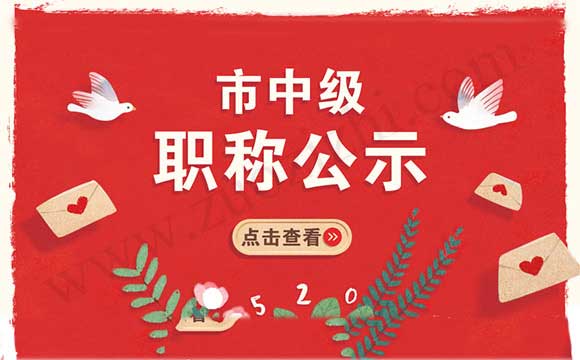 市中級工程師公示名單