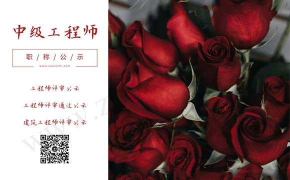 工程師評(píng)審公示