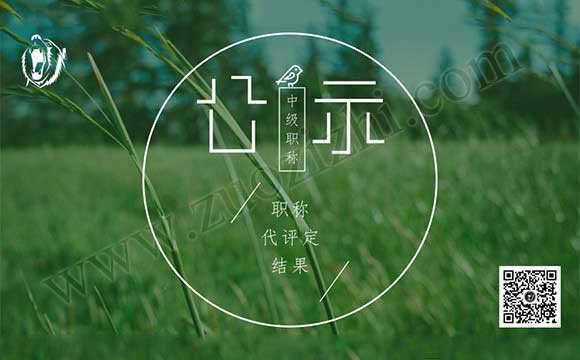 職稱代評定結果