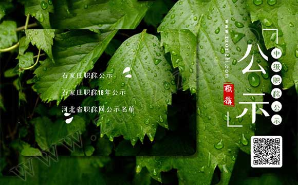 河北省職稱網(wǎng)公示名單