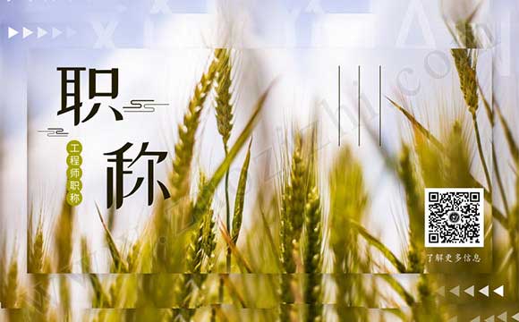 河北省職稱信息管理系統