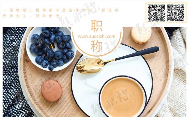 助理工程師評審