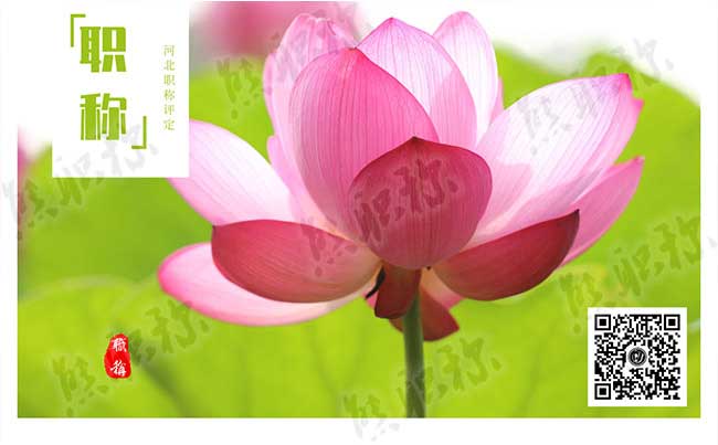 企事業單位改革后有沒有必要評職稱