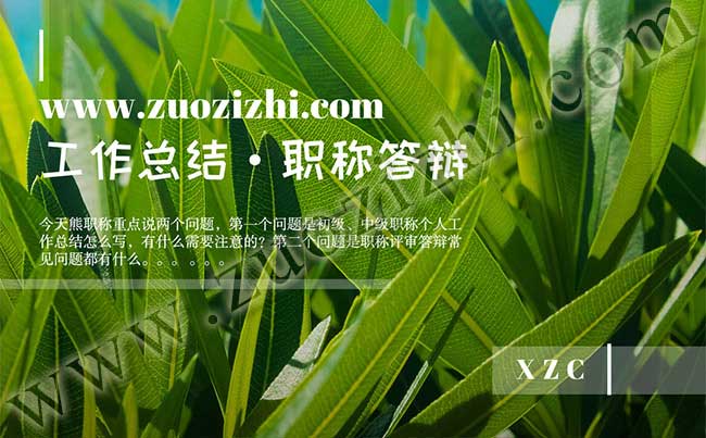 初級職稱個人工作總結