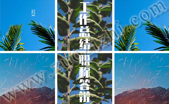 中級職稱個人工作總結