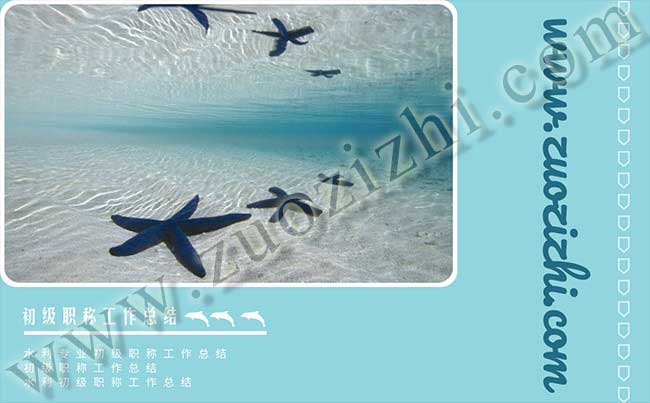 水利初級職稱工作總結