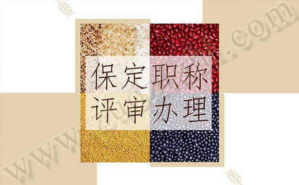 保定職稱評審辦理要求