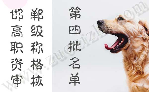 高級職稱資格審核