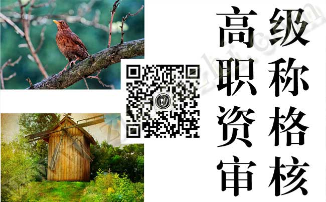 高級職稱資格審核
