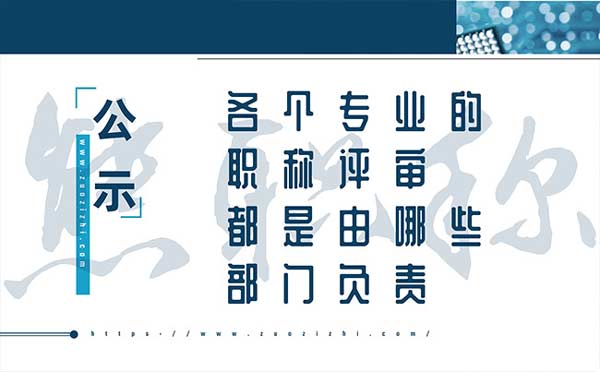 職稱評(píng)審委員會(huì)