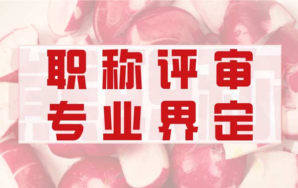職稱相同或相近專業(yè)如何界定