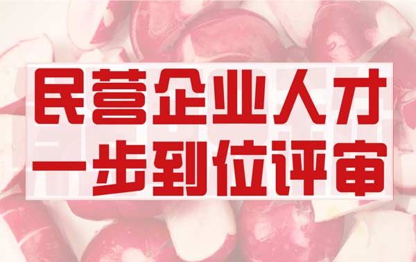 民營(yíng)企業(yè)人才職稱辦理