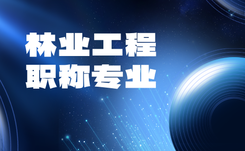 職稱專業(yè) 工程師職稱