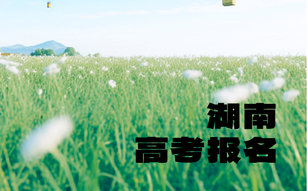 湖南2025普高招生考試報名辦法解讀