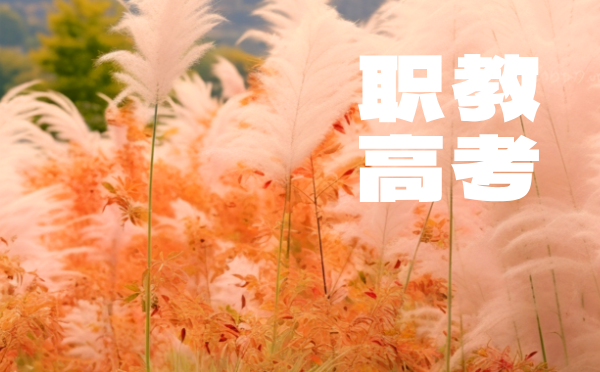 云南省2025年職教高考報考說明