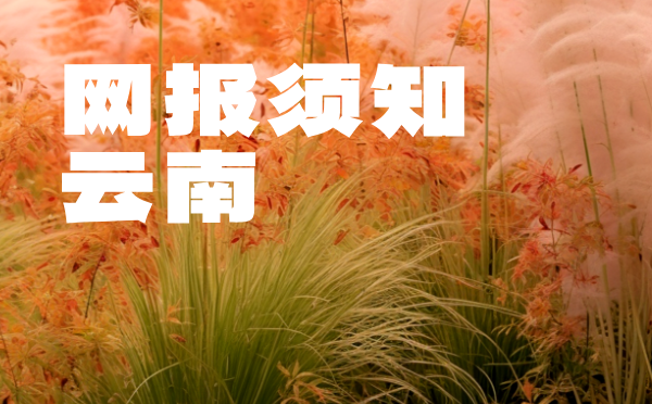 云南2025普高招生網(wǎng)上報名考生須知