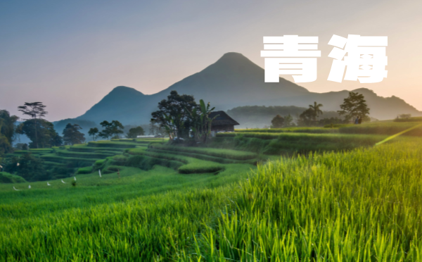 2025湖北高考報名時間及方式