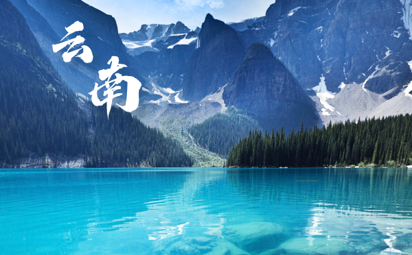 2025湖北高考報名時間及方式