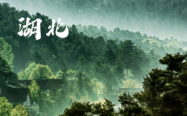 2025湖北高考報名時間及方式