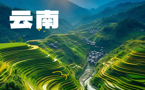 2024年云南高考分數線