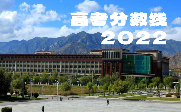 2024年西藏高考分?jǐn)?shù)線