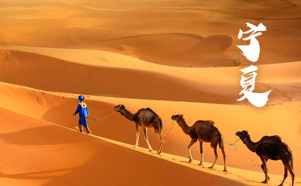 2024年寧夏高考分數(shù)線