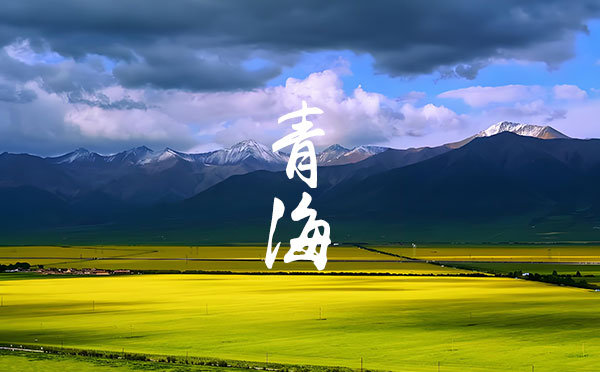 2024寧夏高考錄取結果