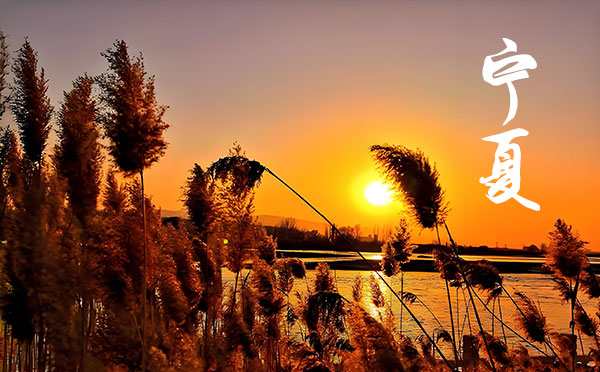 寧夏高考錄取結果查詢