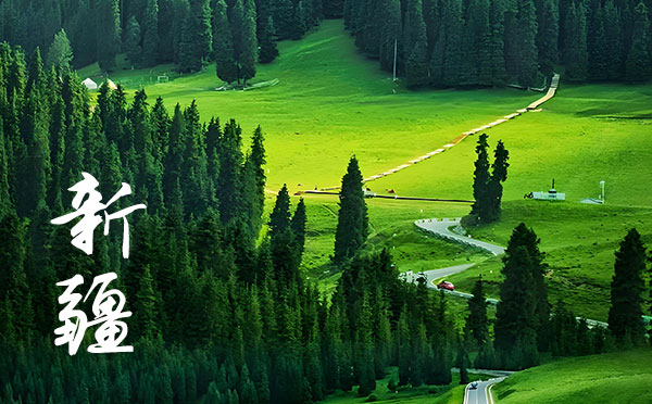 2024寧夏高考錄取結果