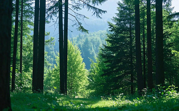 中級工程師職稱評定條件