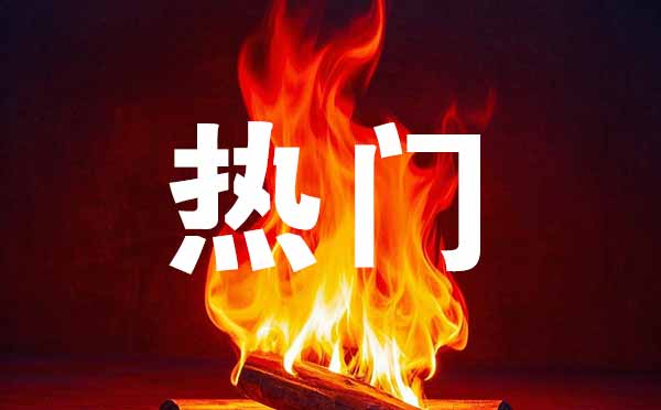 考公務員熱門專業