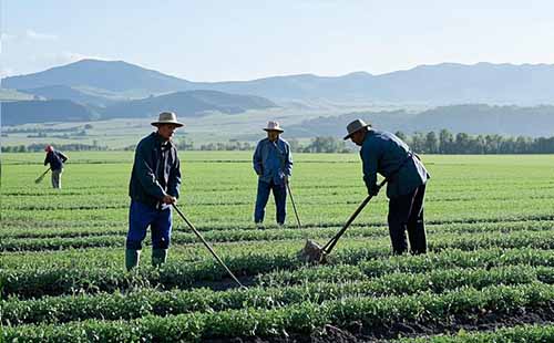中級職稱報考條件