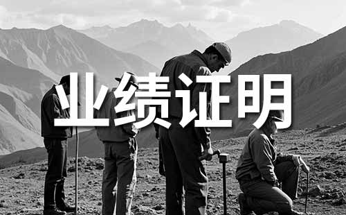 職稱業績證明材料